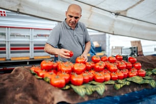 a man standing in front of a pile of tomatoes