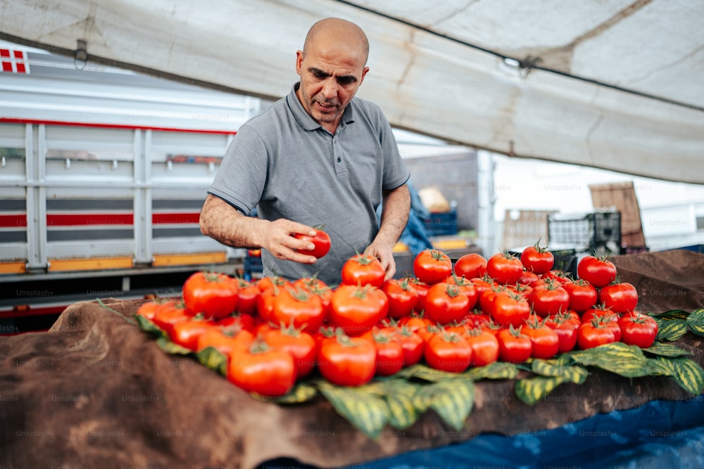 Un homme debout devant un tas de tomates