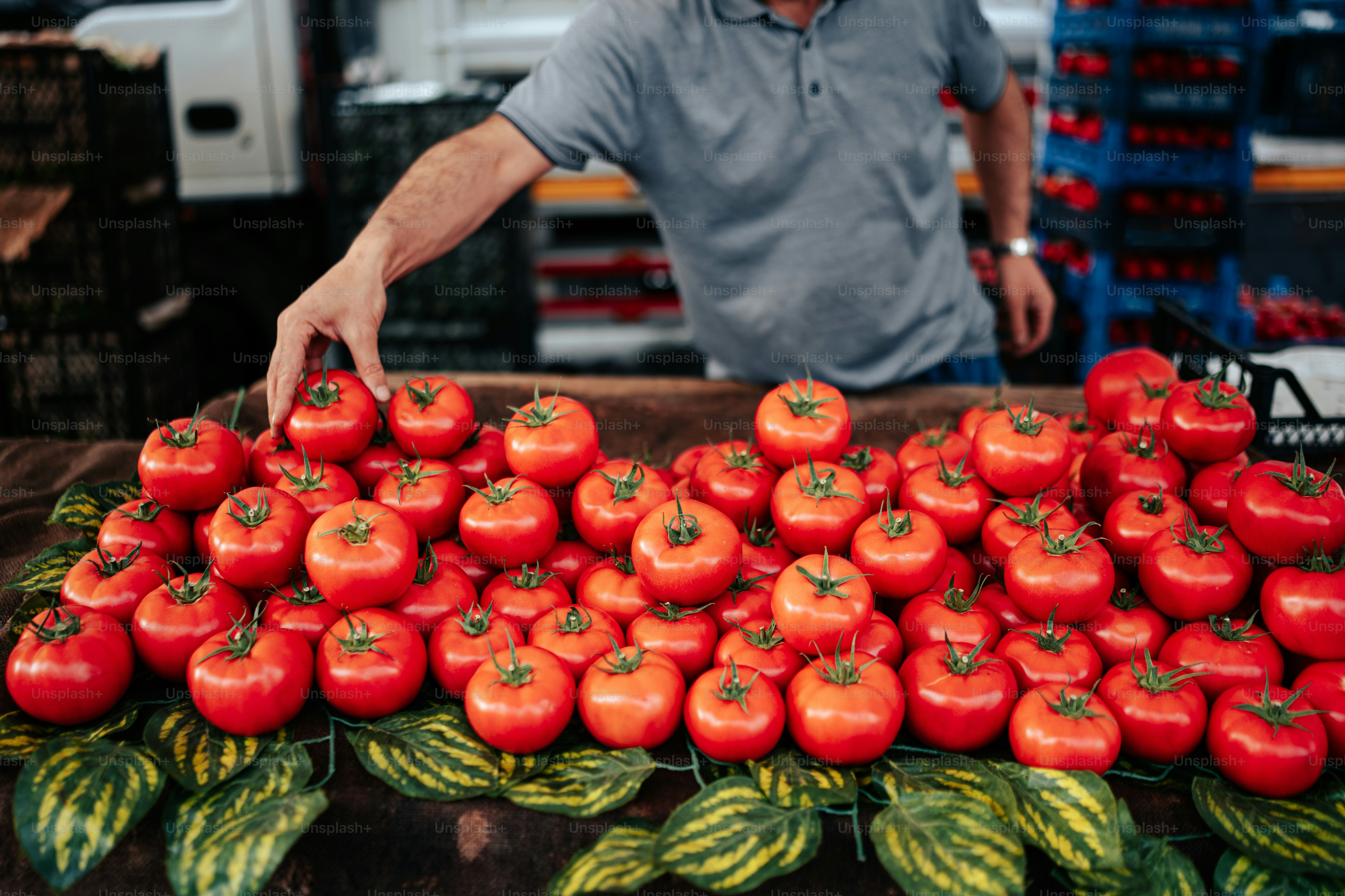 um homem ao lado de uma pilha de tomates vermelhos