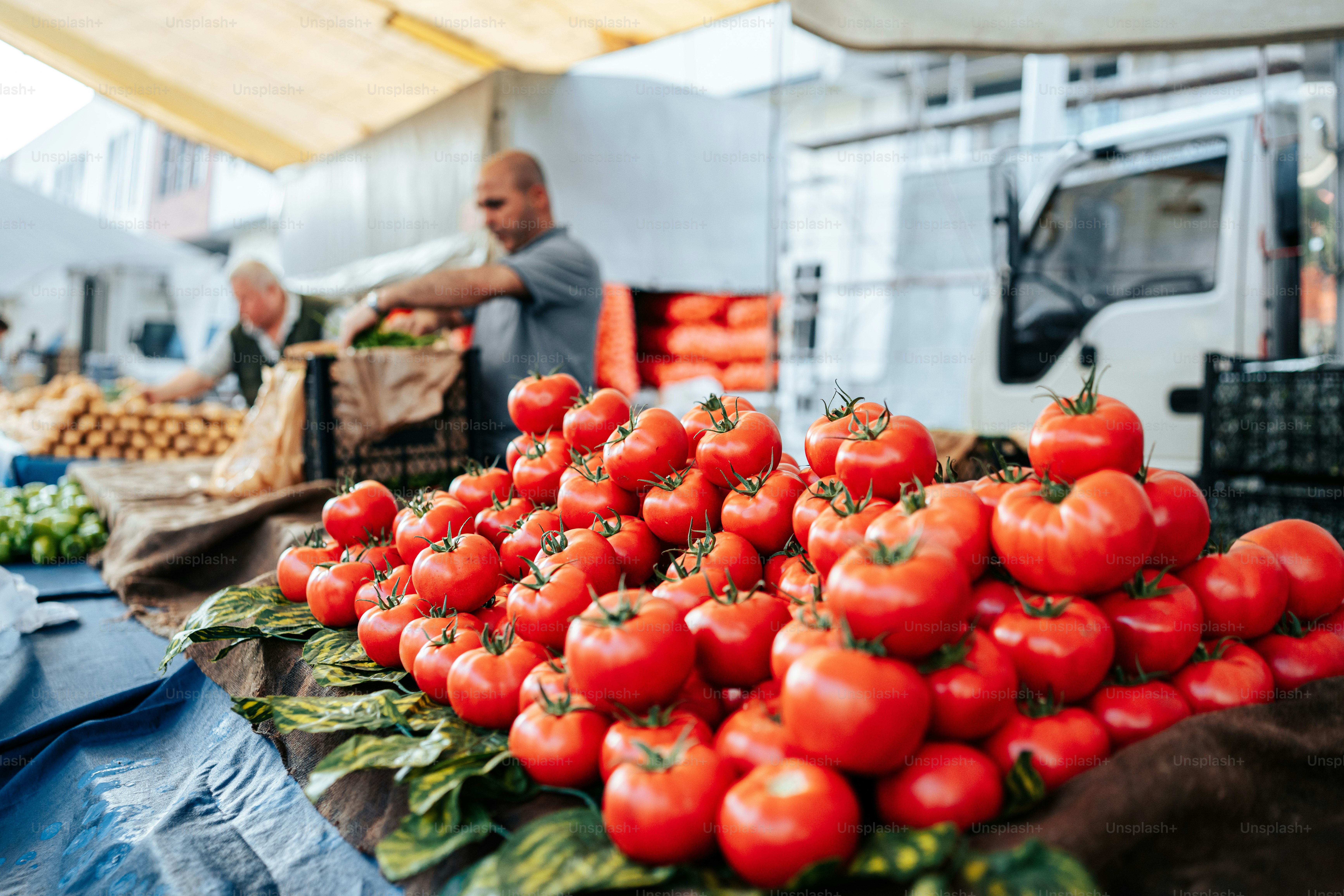 um monte de tomates que estão em uma mesa