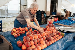 Uma mulher mais velha está organizando pêssegos em uma mesa