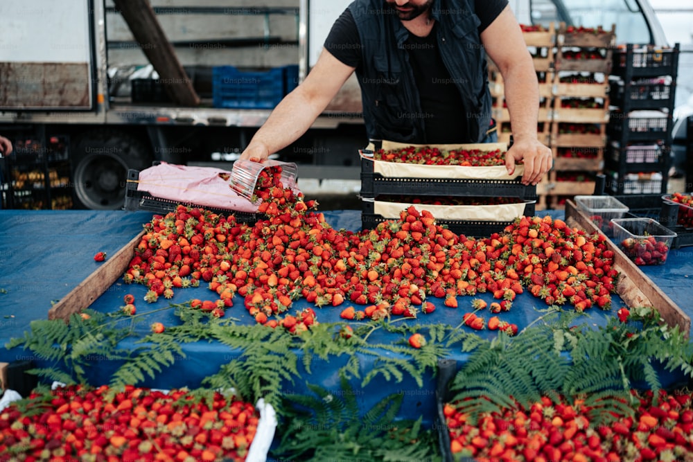 um homem em pé sobre uma mesa cheia de morangos