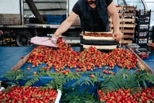 ein mann, der über einem tisch steht, der mit vielen erdbeeren gefüllt ist