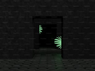 a dark room with a green door and a plant