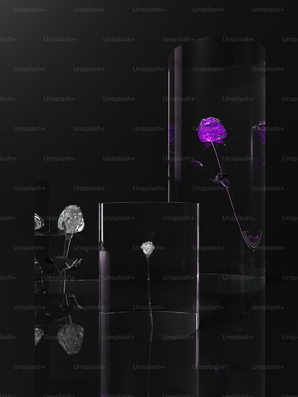 un vase en verre avec une fleur à l’intérieur