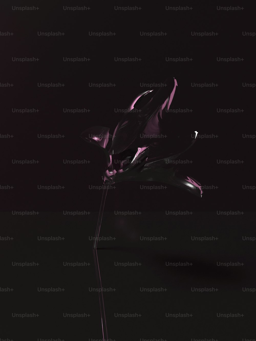 a purple flower on a black background