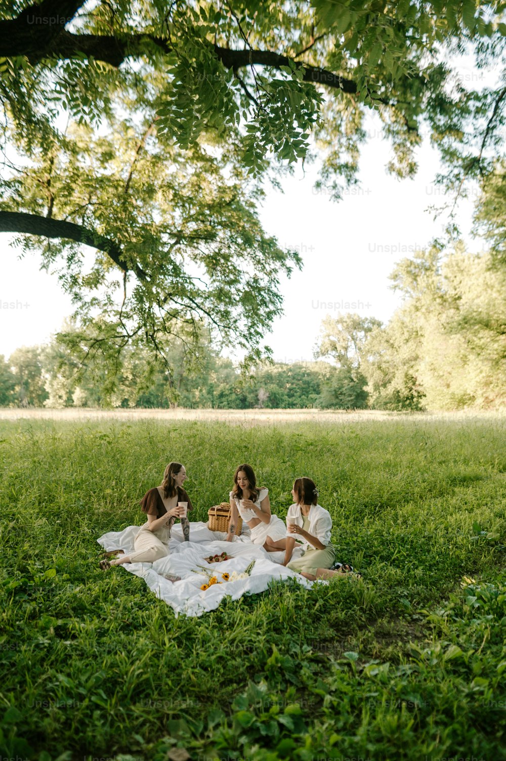 a group of women sitting on top of a lush green field