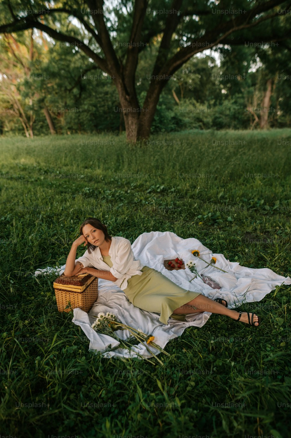 uma mulher deitada em um cobertor na grama