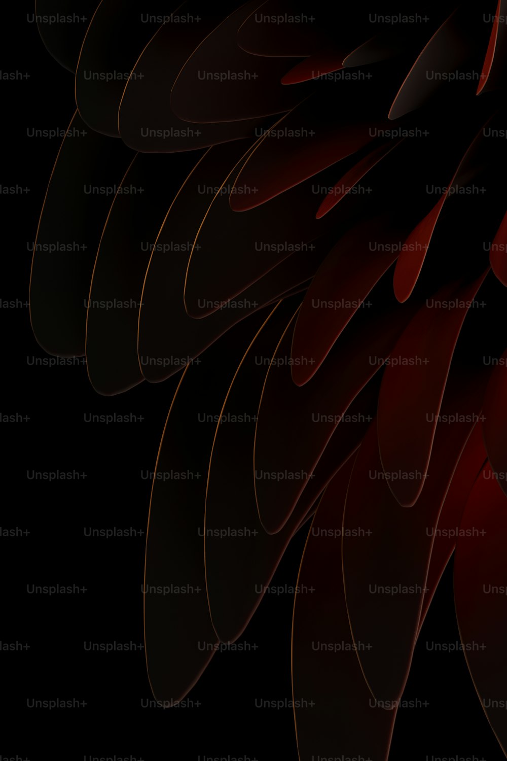 a black and red background with a large bird's wing