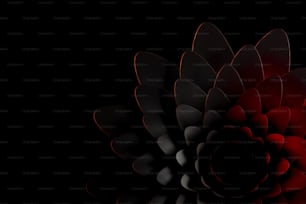 a red and black flower on a black background