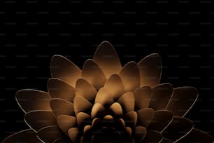 a black and brown flower with a black background