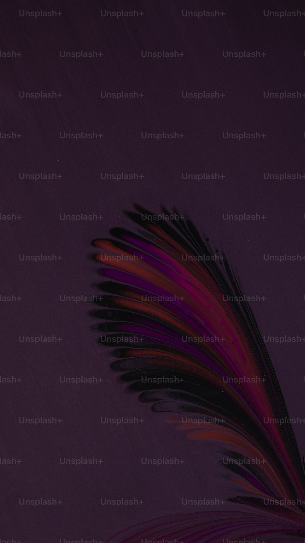 a purple background with a red and black feather