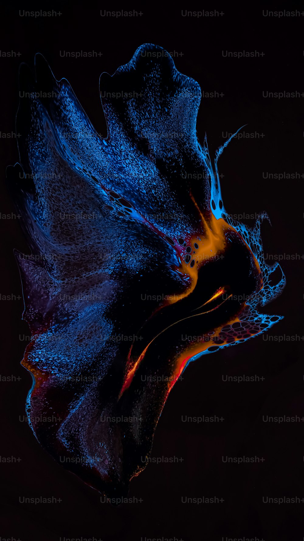 a close up of a butterfly in the dark