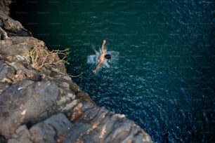 a person swimming in a body of water