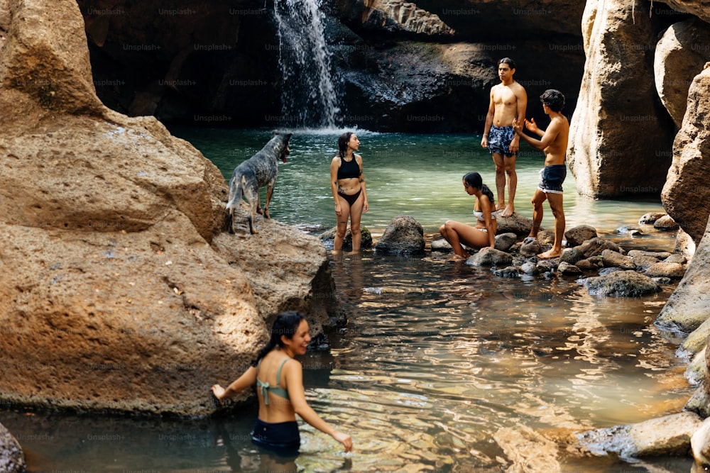 a group of people standing in a river next to a waterfall
