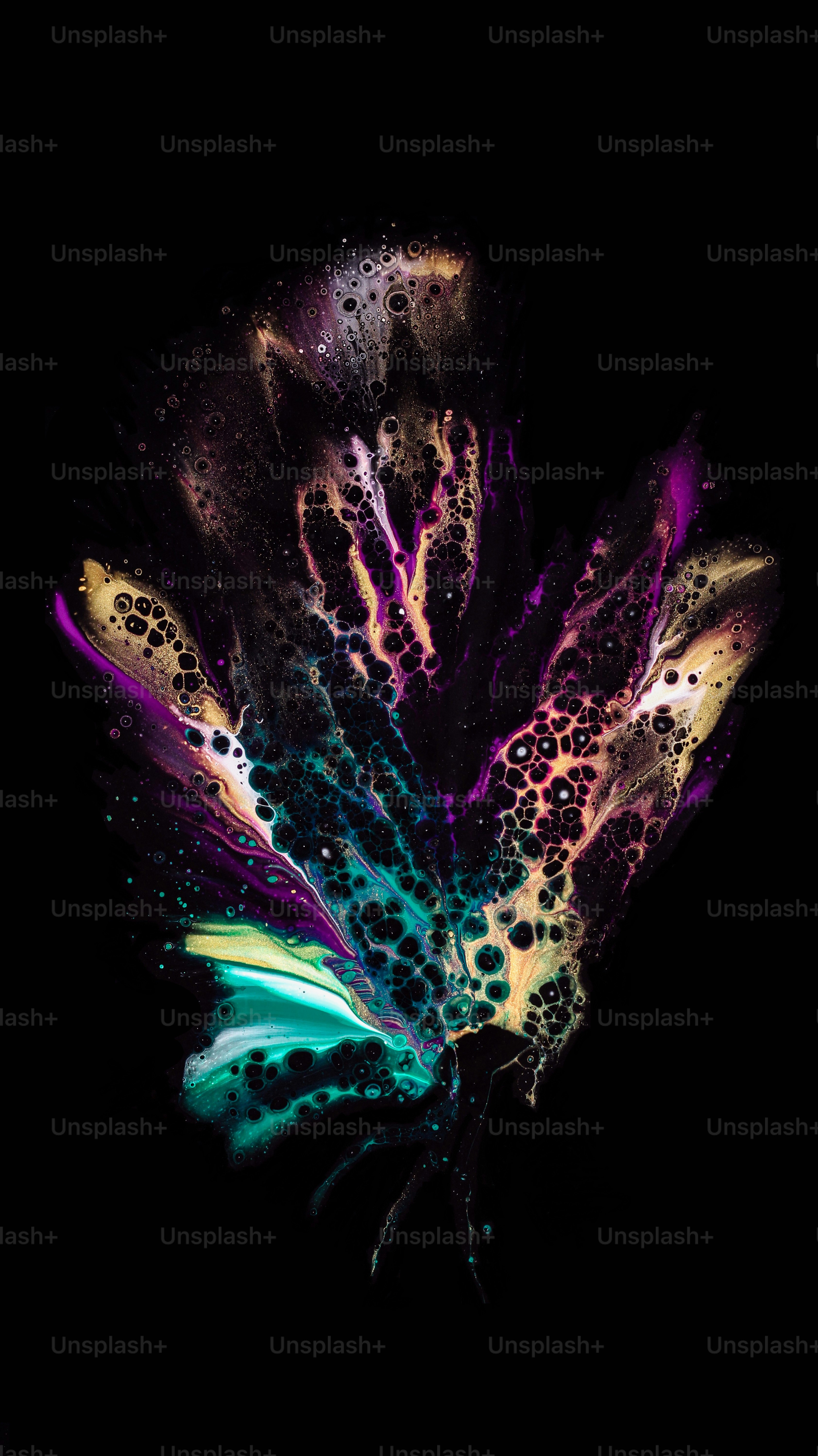 A close up of a flower on a black background photo Iphone wallpaper