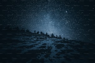 Un cielo nocturno lleno de estrellas y árboles