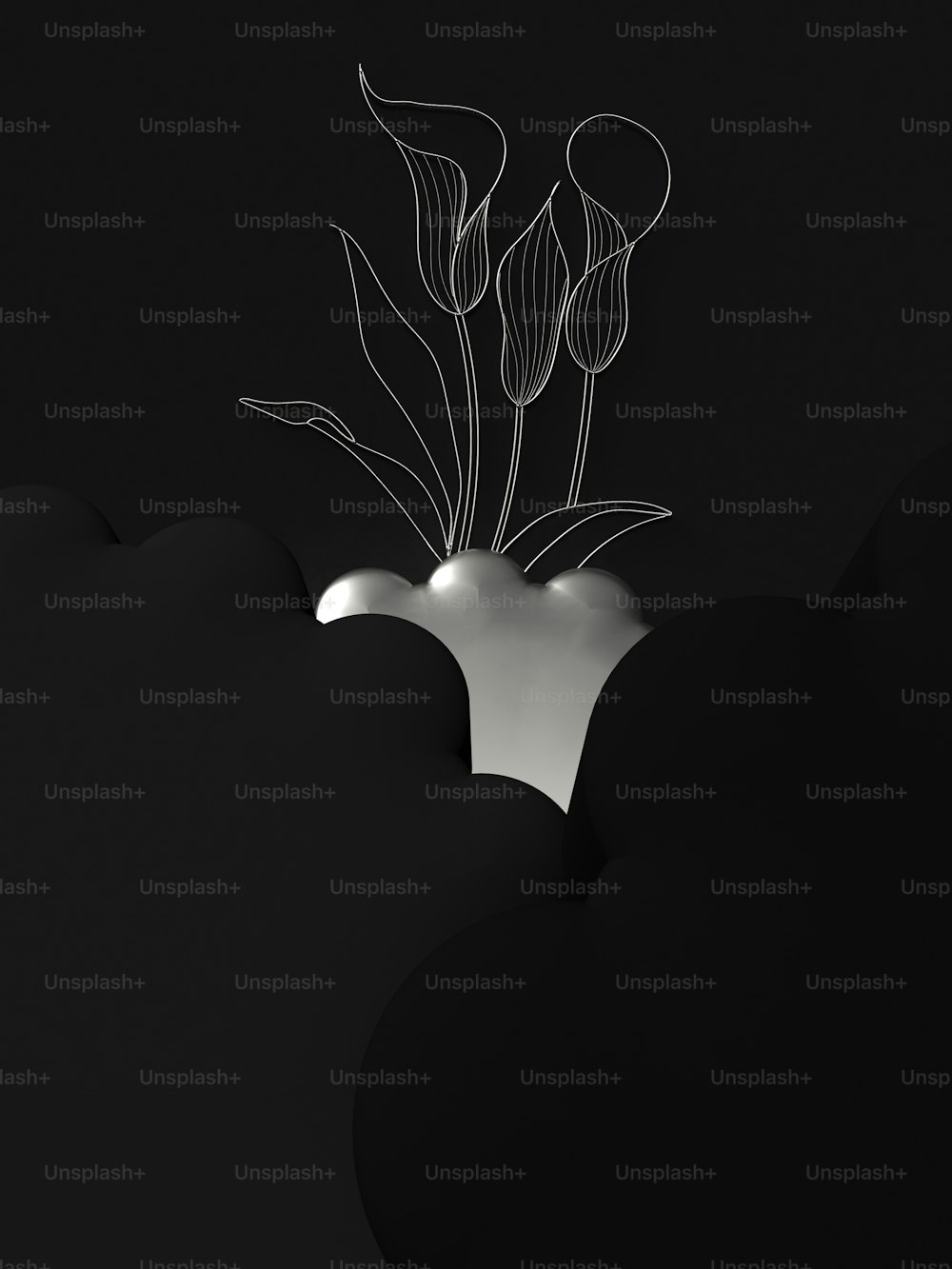 ein Schwarz-Weiß-Foto einer Pflanze, die aus dem Boden wächst
