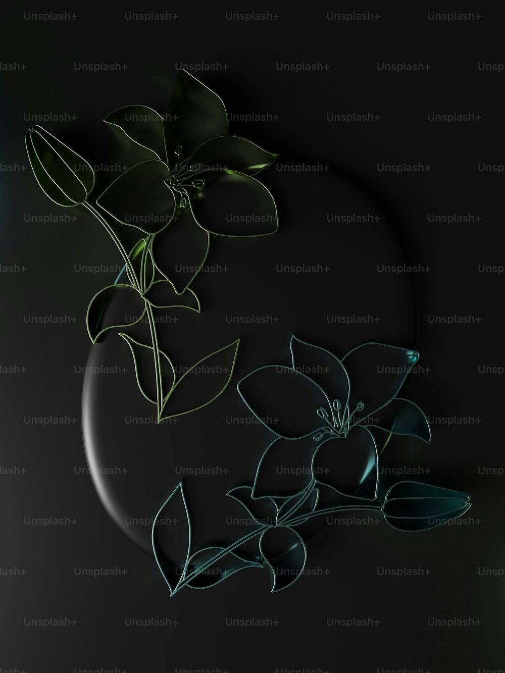 Un'immagine di un fiore su uno sfondo nero