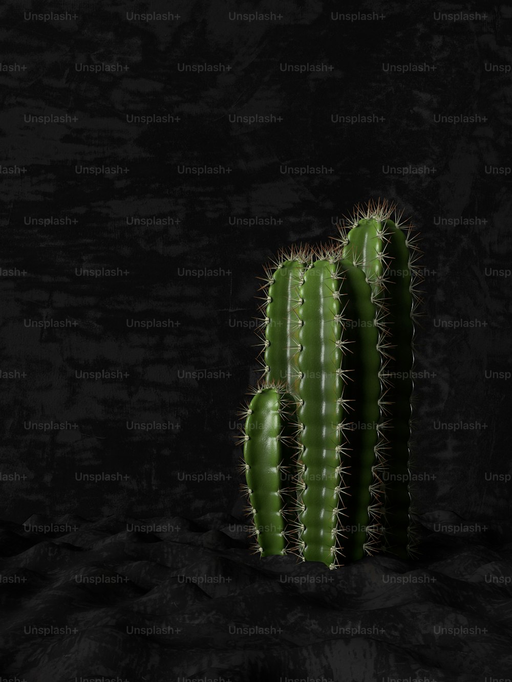 a green cactus in a dark room