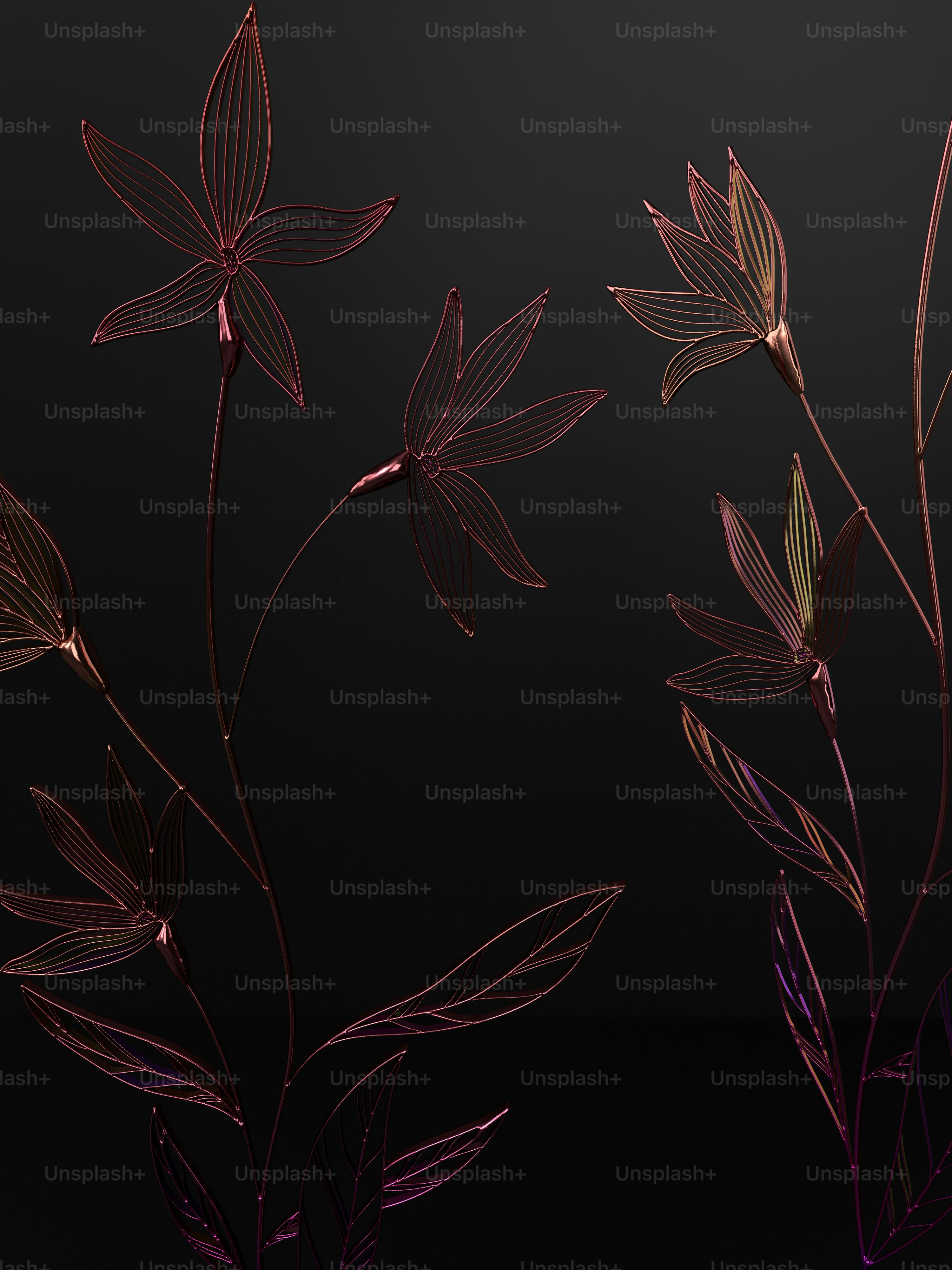 a close up of a flower on a black background