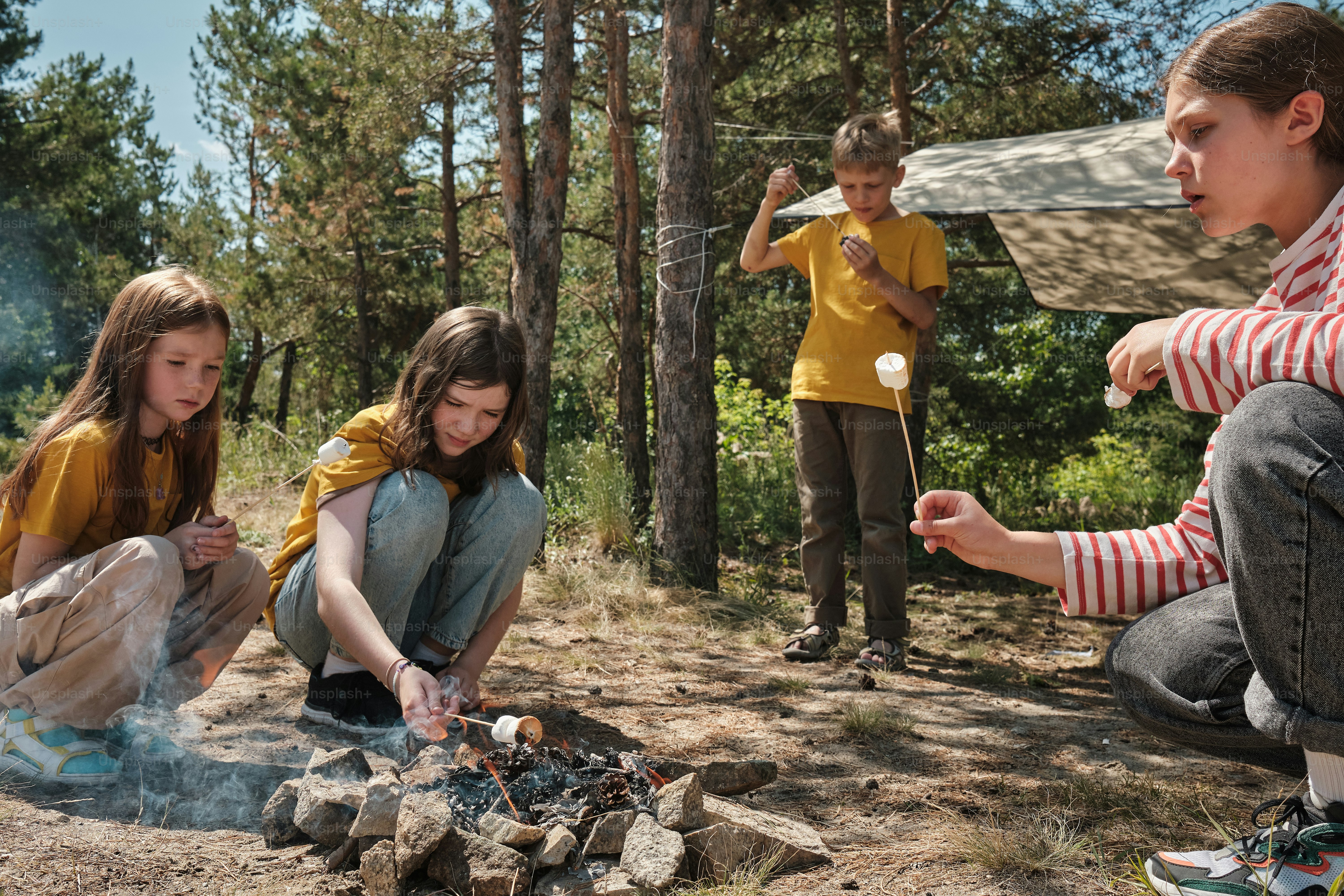 A group of people sitting around a campfire photo – Campfire Image on ...