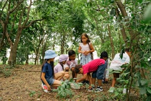 a group of children standing around each other in a forest