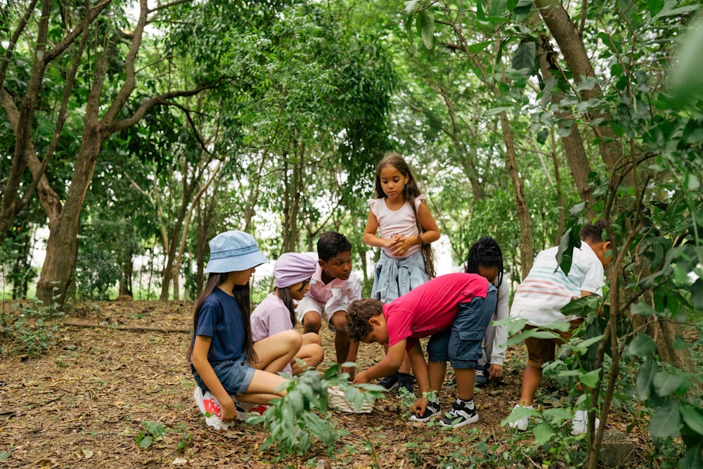 a group of children standing around each other in a forest