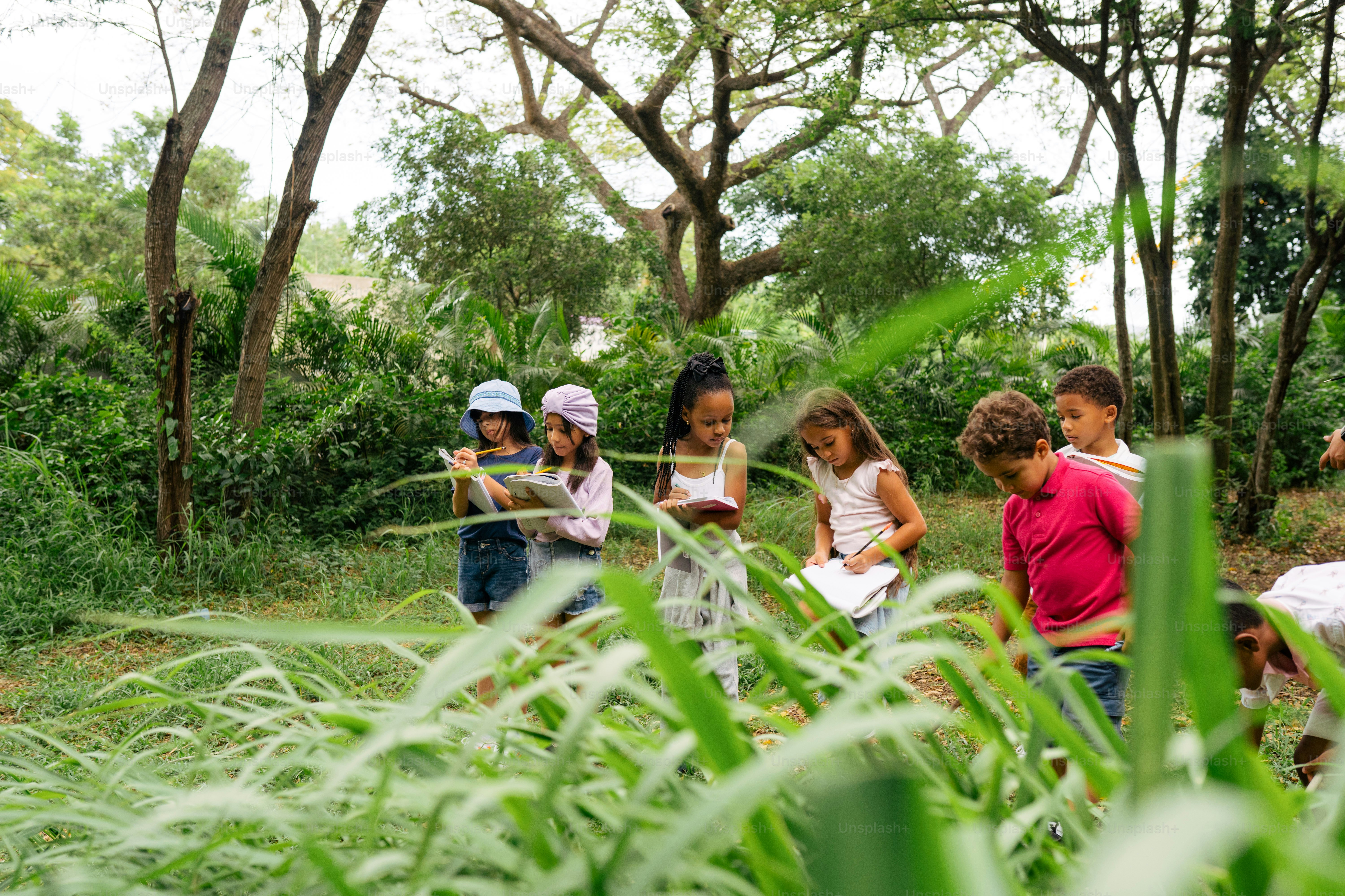 a group of children standing in a forest