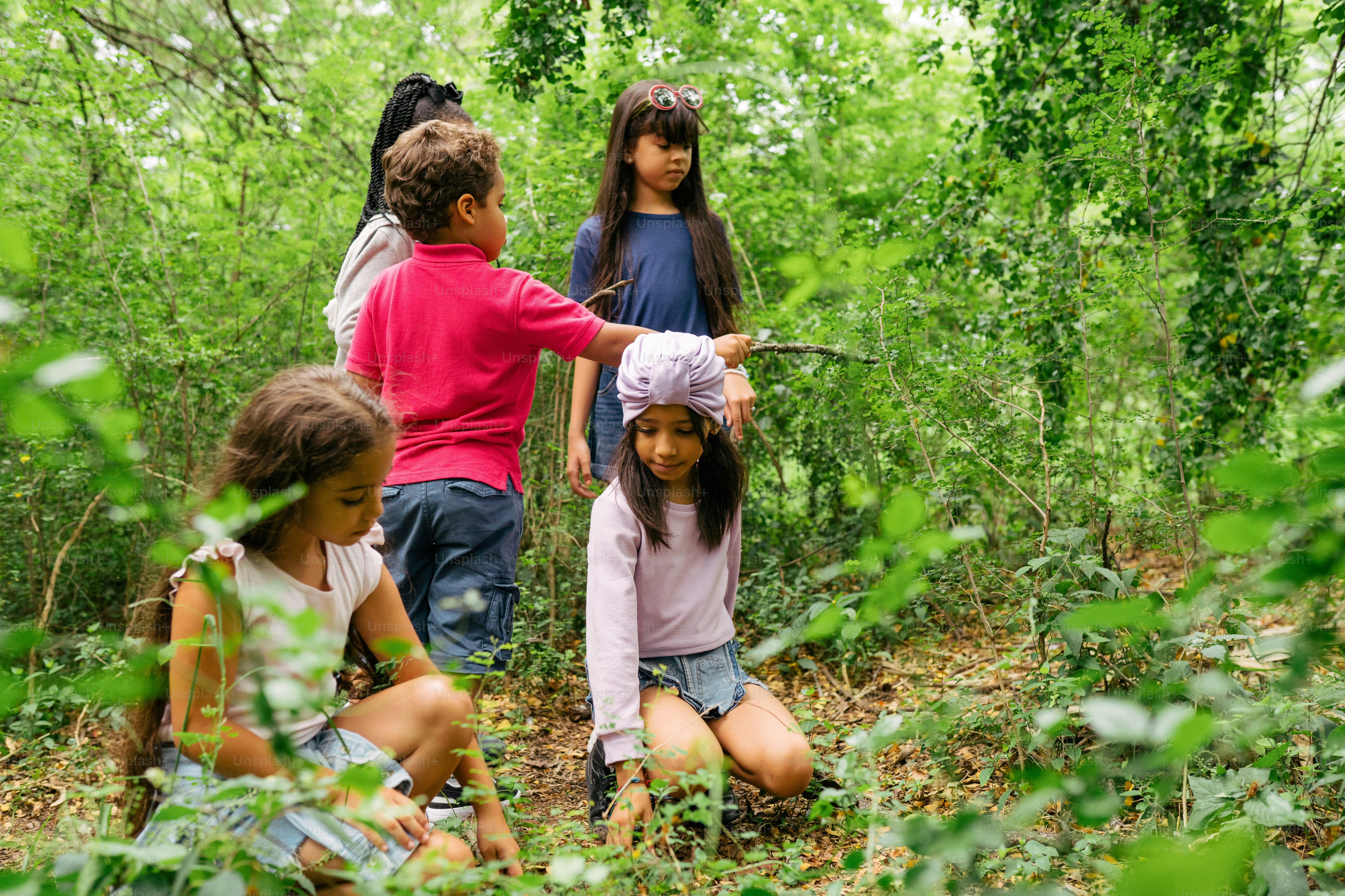 eine gruppe von kindern, stehen, in, a, wald