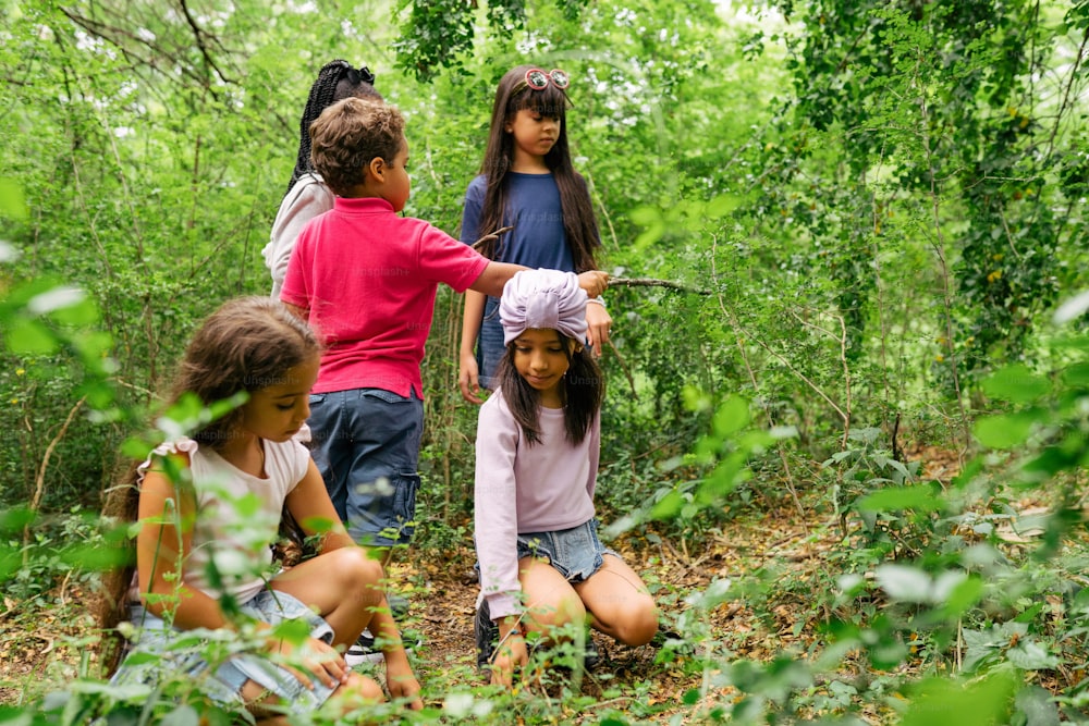a group of children standing in a forest
