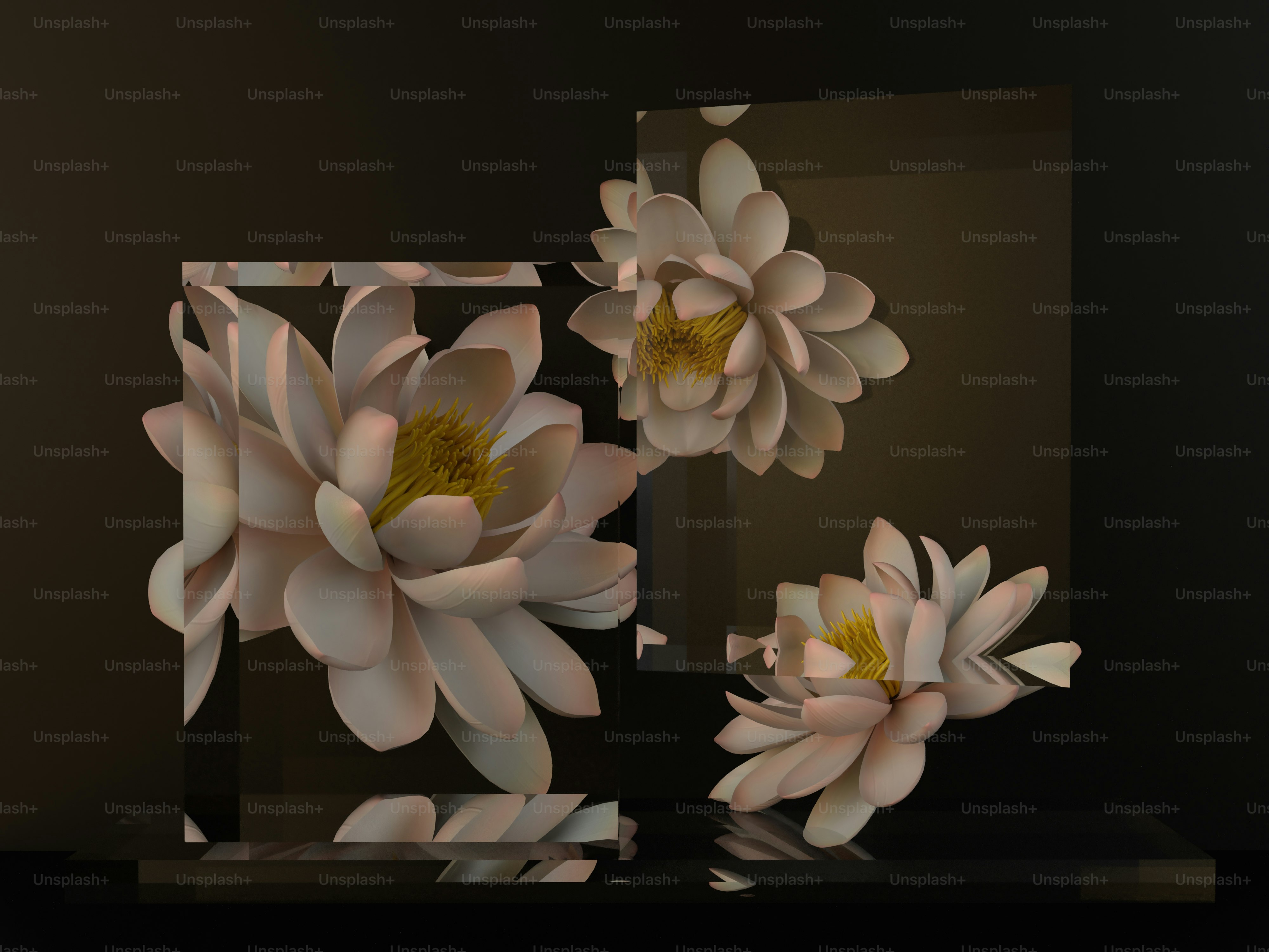 100+ Lotus Flower Pictures | Download Free Images On Unsplash