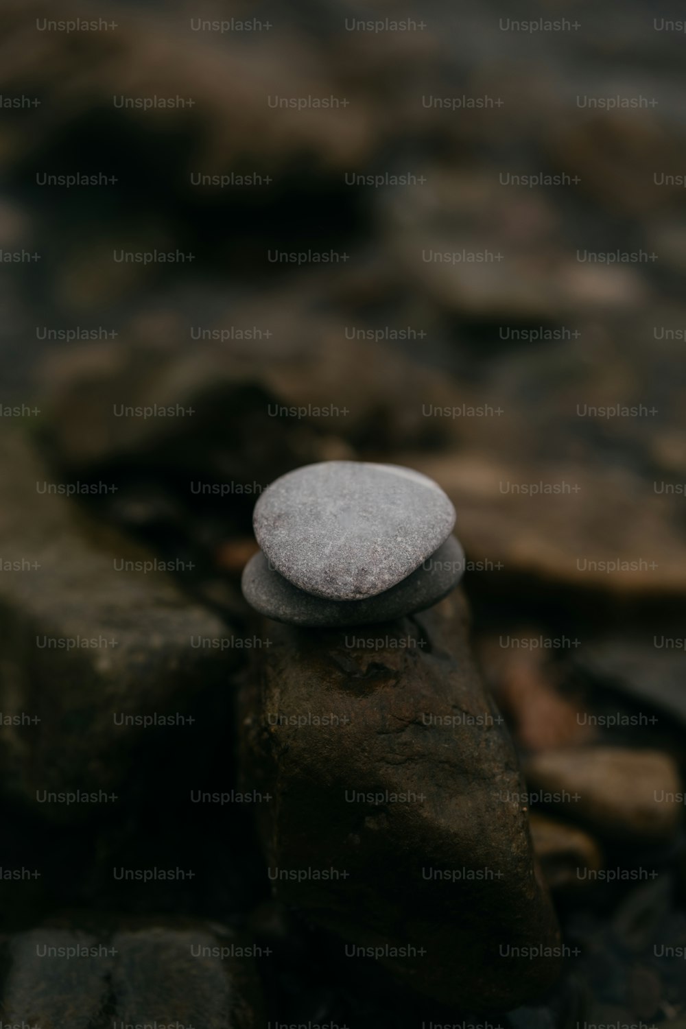 바위 더미 위에 앉아있는 바위