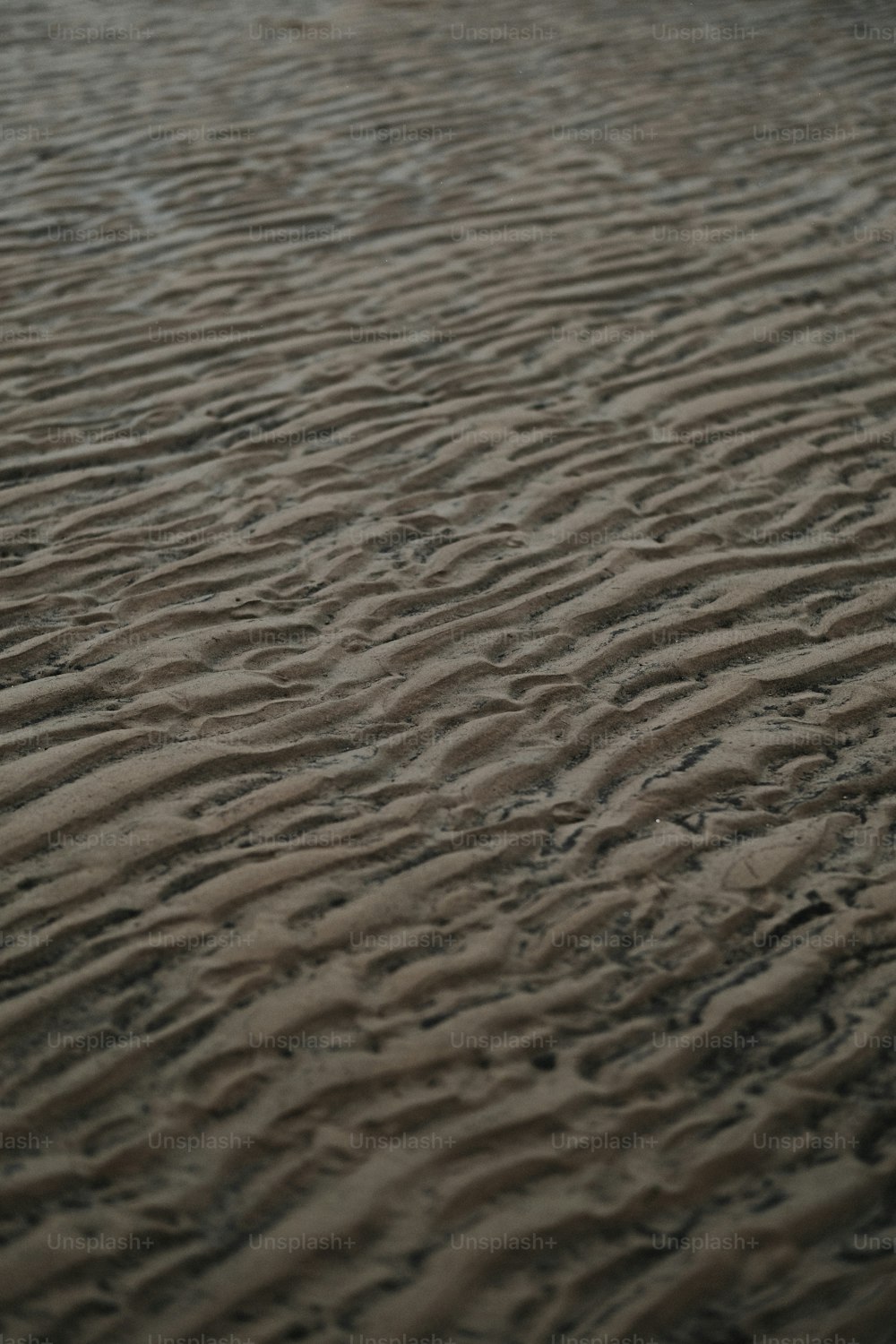 une plage de sable recouverte de beaucoup de sable