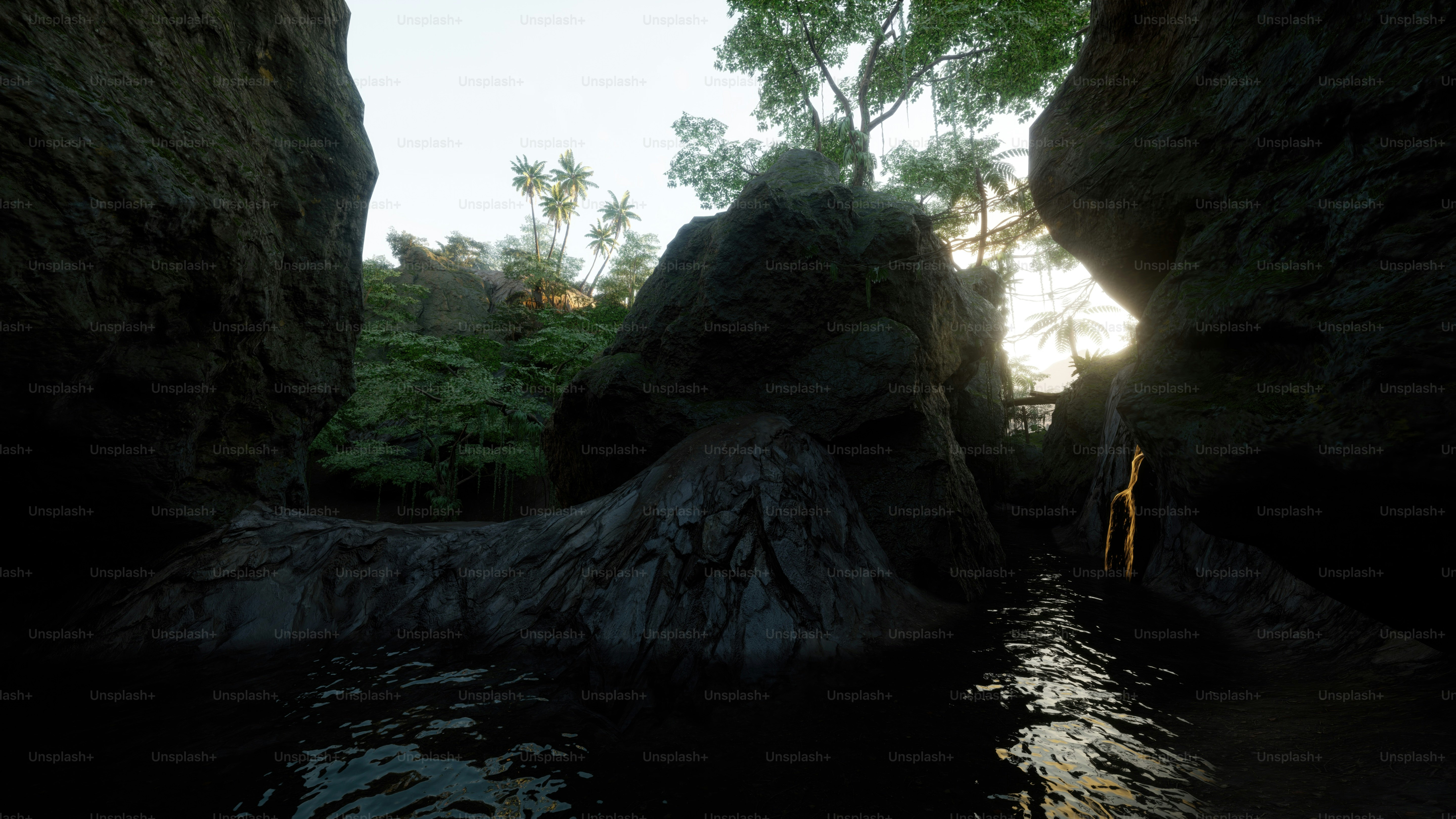 Cover Image of the Post