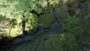 a river running through a lush green forest