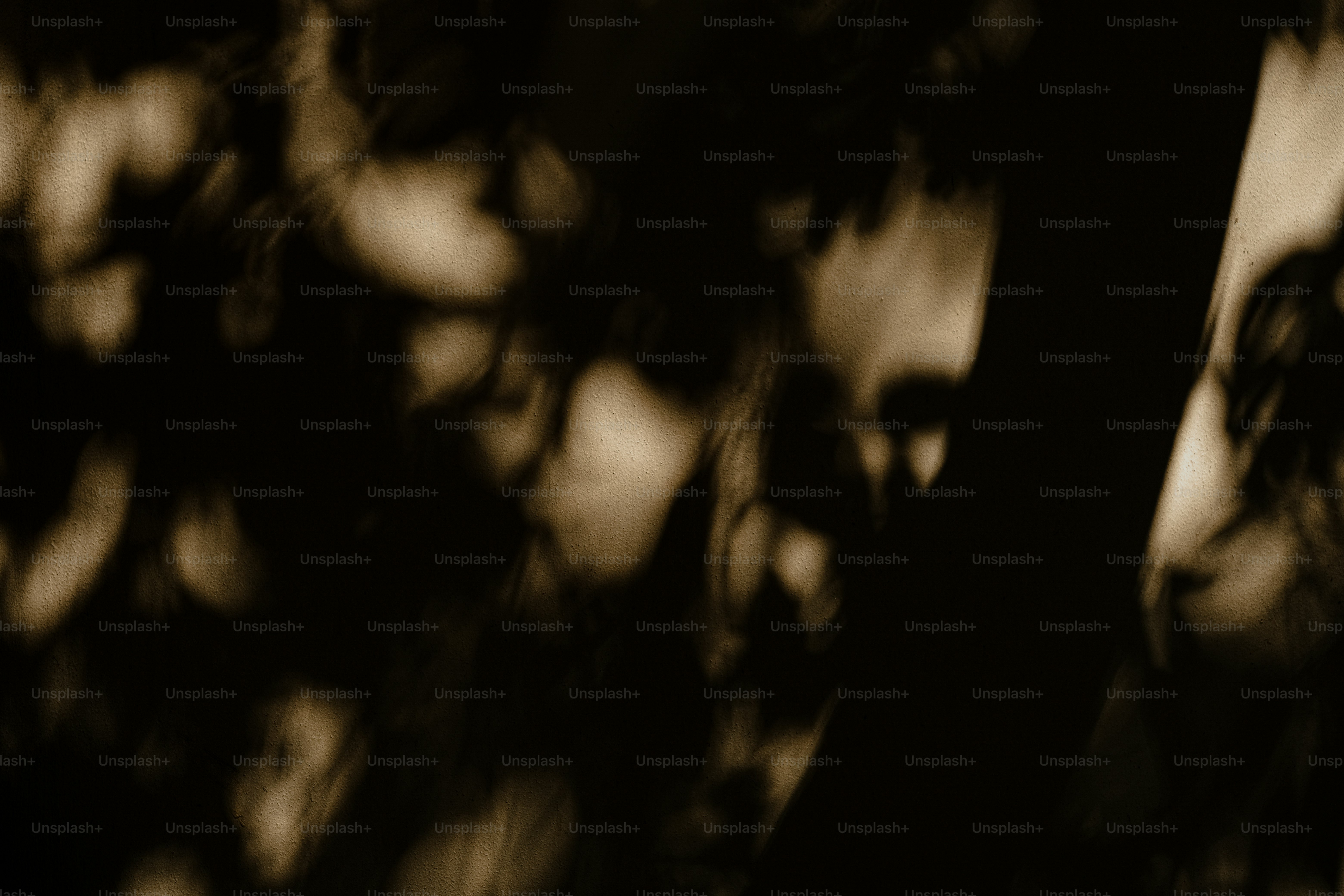 a black and white photo of a tree