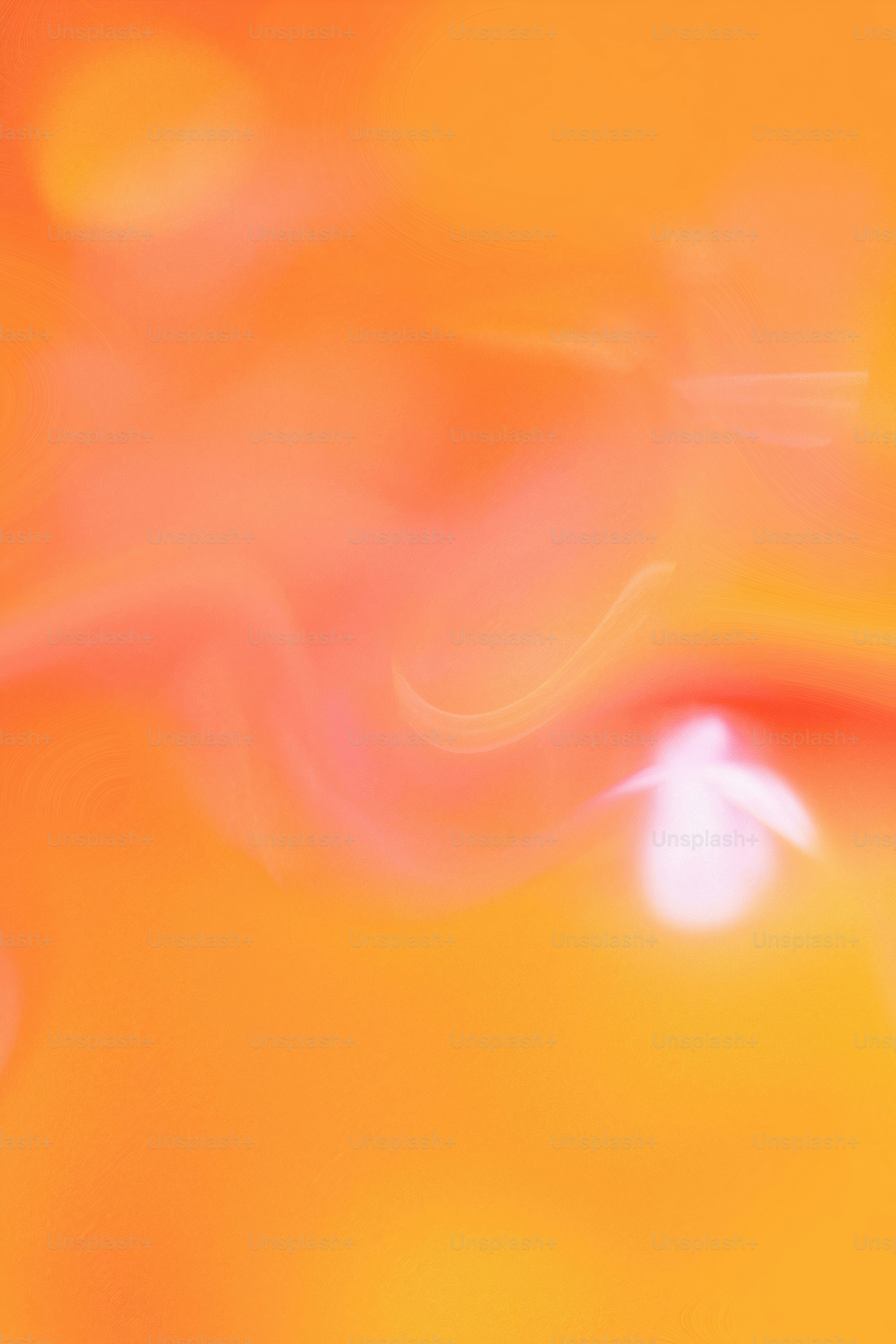 premium_photo-1687173116872-a8f5d47988f2?ixid=M3wxMjA3fDB8MXxzZWFyY2h8MTN8fGRiYSUyMGdhfGVufDB8fHx8MTc0NTMxODM5NHww\u0026ixlib=rb-4.0.3