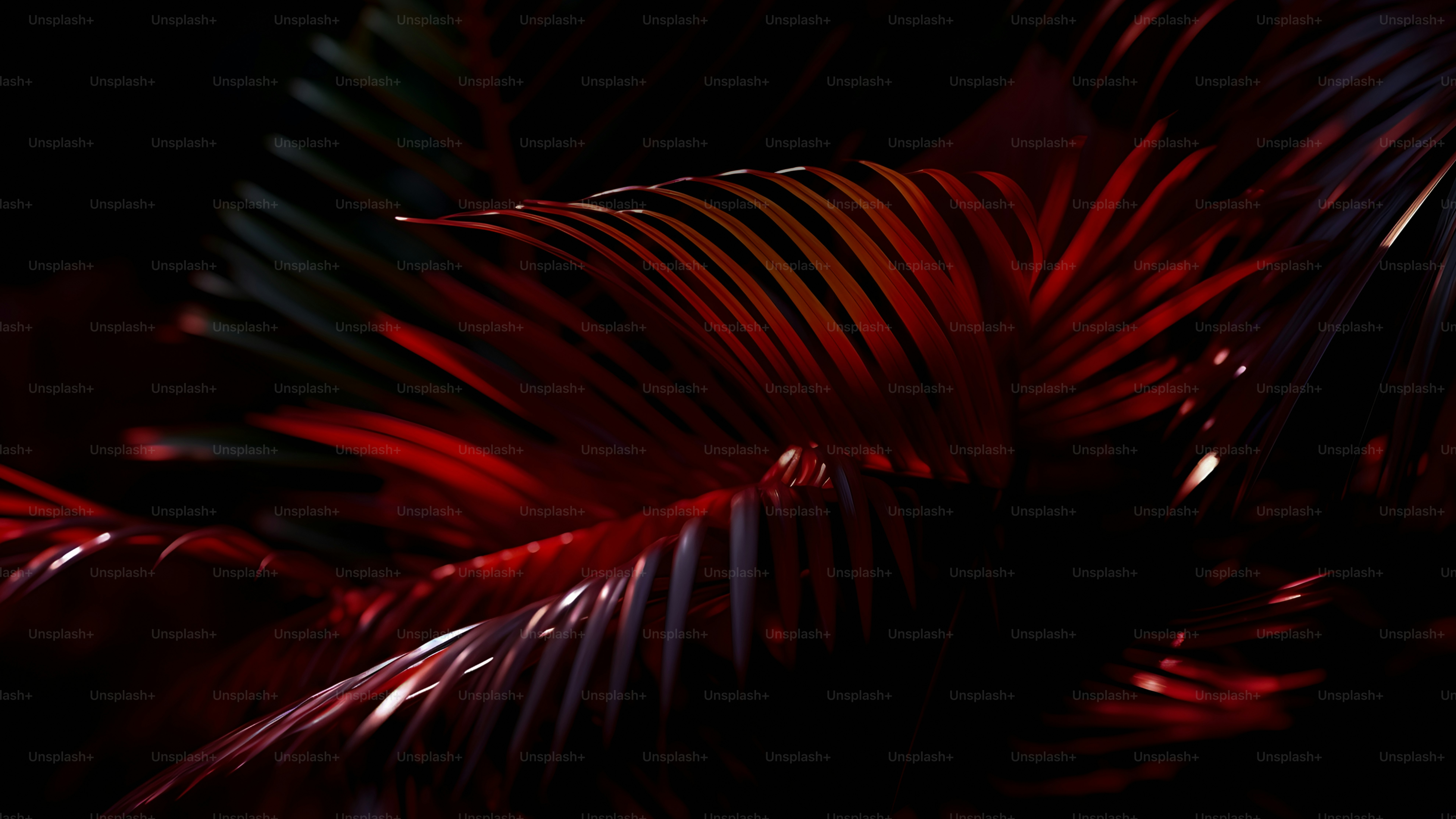 a close up of a plant with red leaves