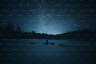 eine person, die im schnee unter einem nachthimmel steht