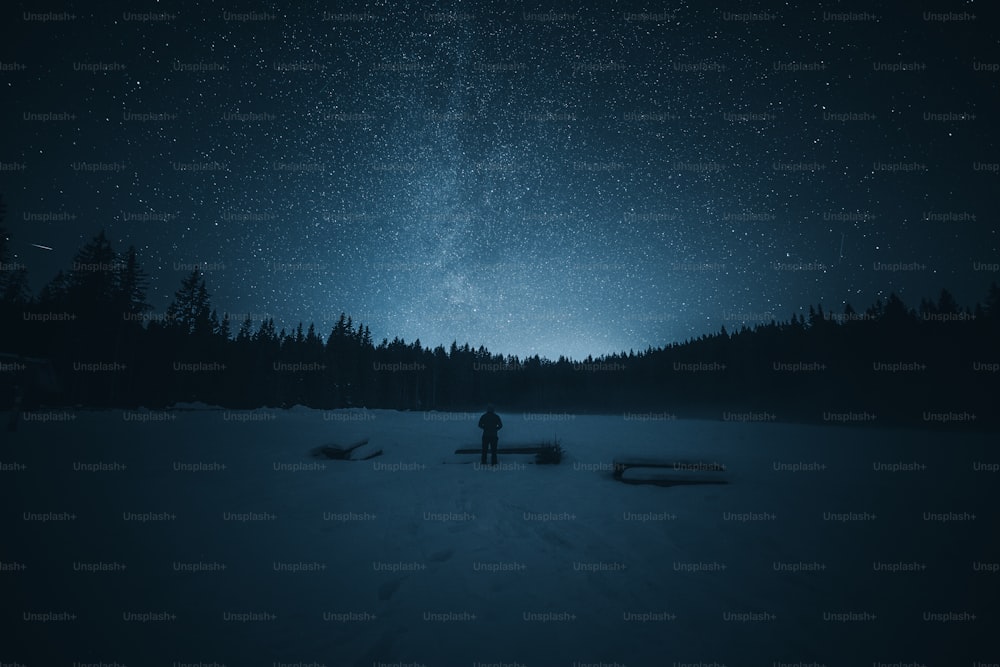 uma pessoa em pé na neve sob um céu noturno