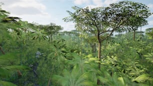 a lush green forest filled with lots of trees