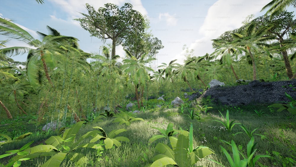 a lush green forest filled with lots of trees