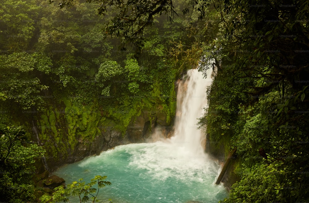 a waterfall in the middle of a forest