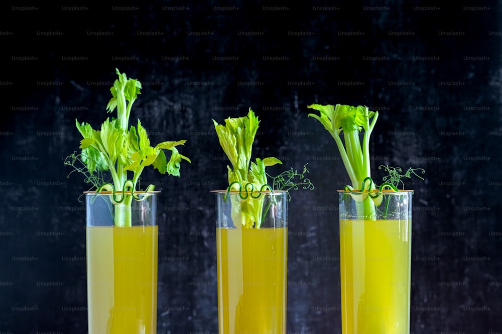 three vases filled with green plants on top of a table