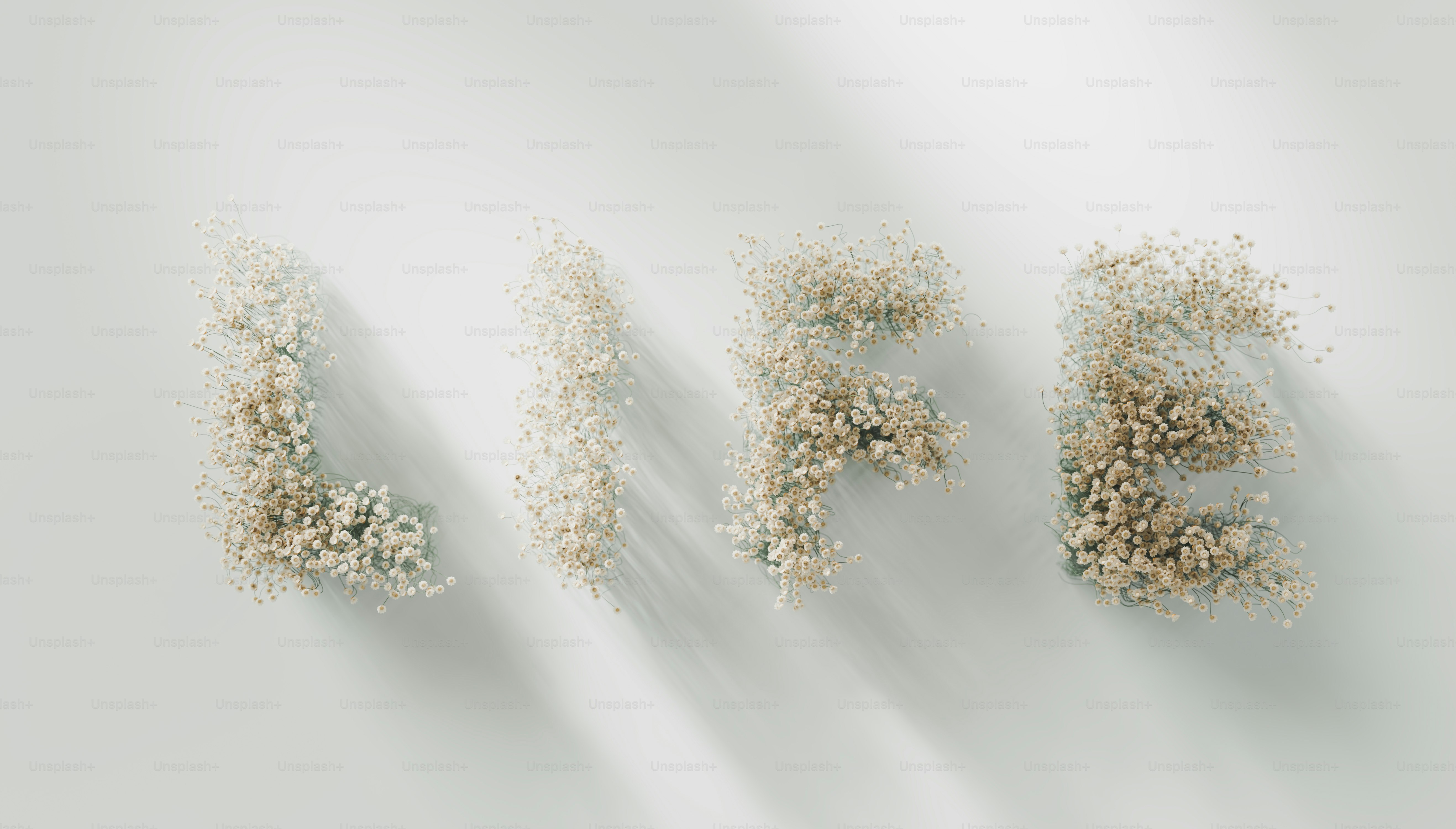 un bouquet de fleurs qui sont côte à côte