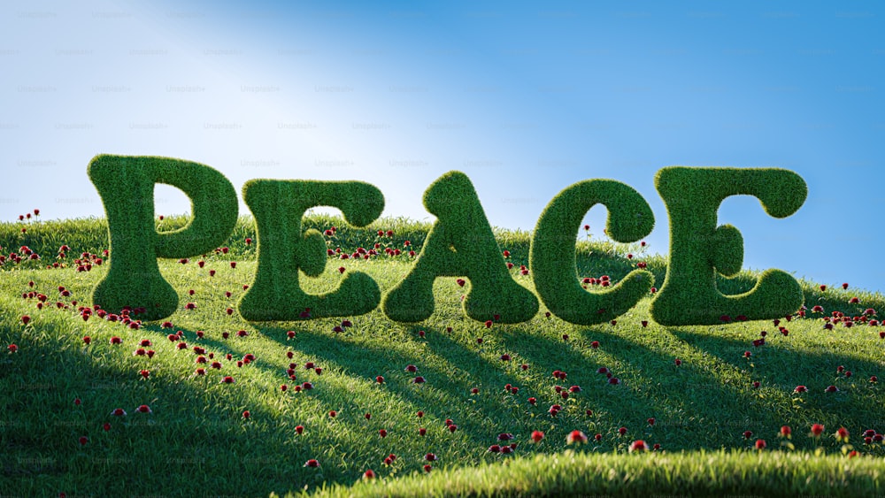La palabra paz hecha de hierba en una colina