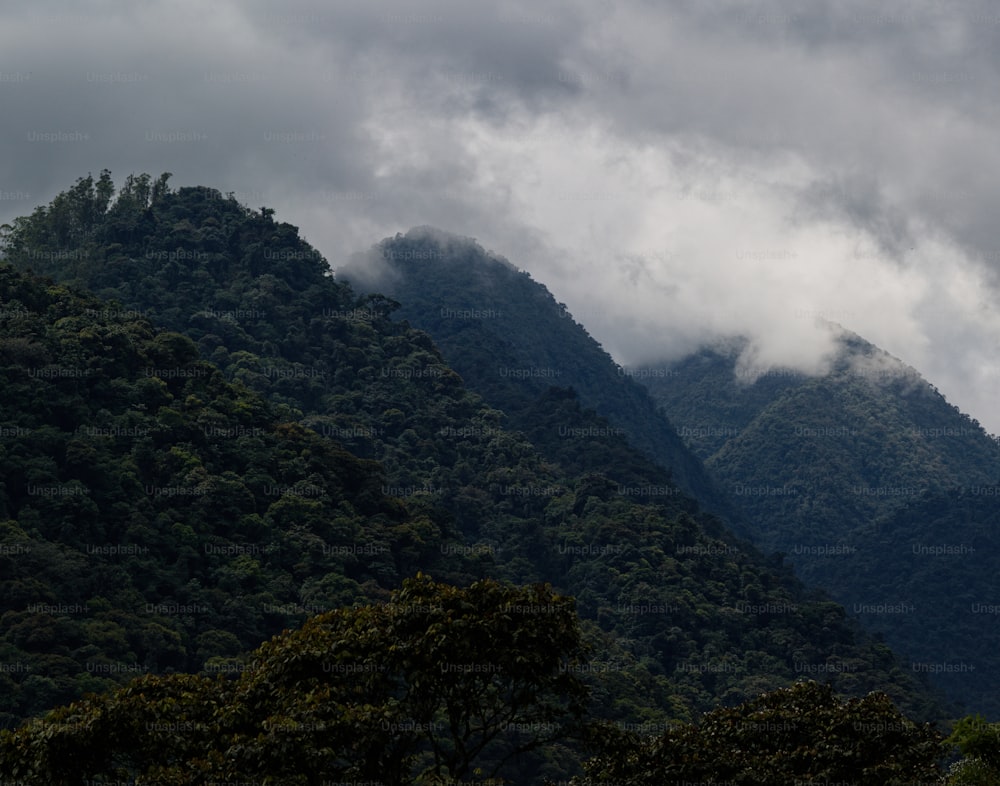 a view of a mountain covered in clouds