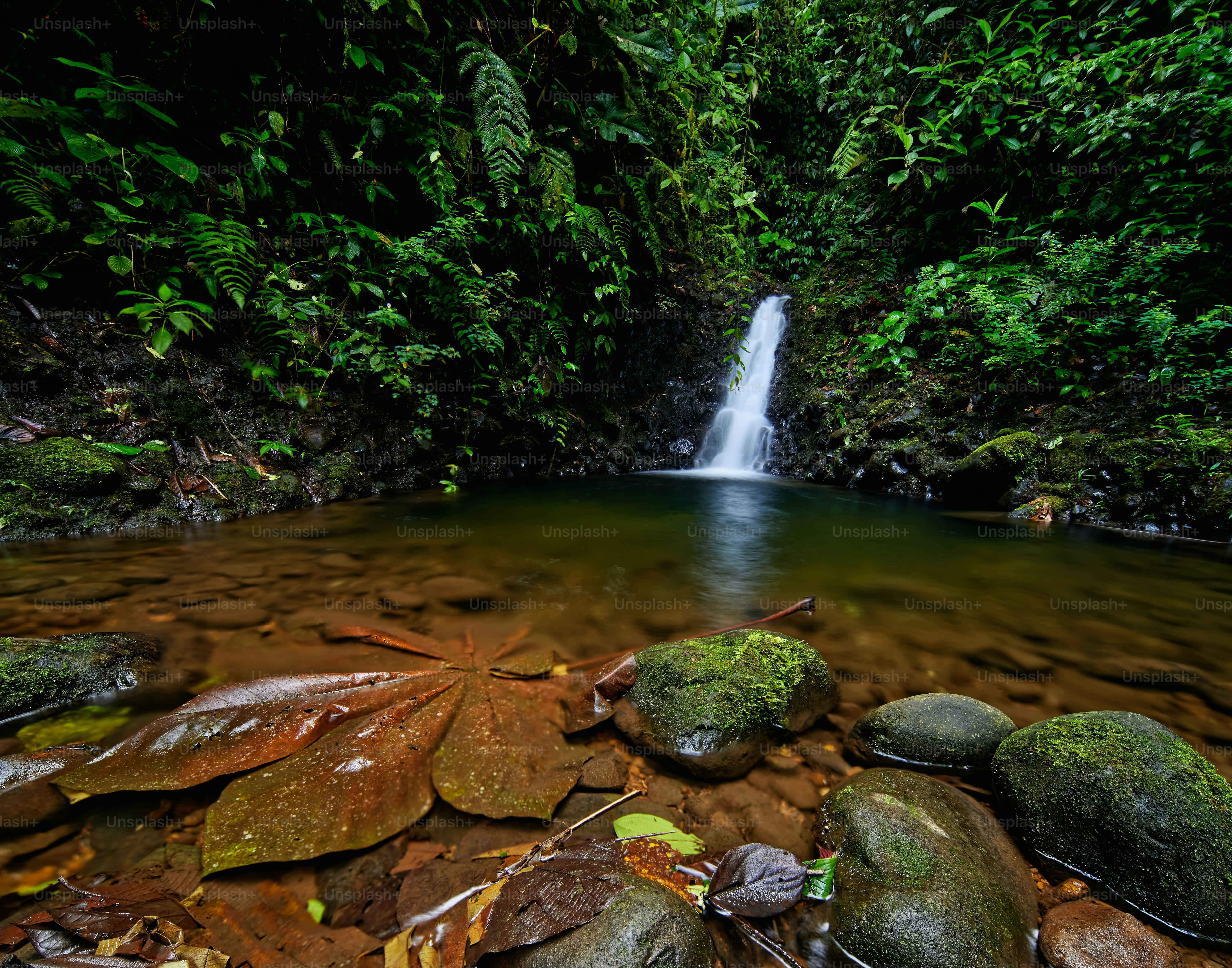 a small waterfall in the middle of a forest