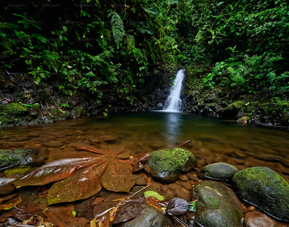 a small waterfall in the middle of a forest